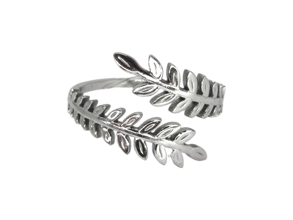 STAINLESS STEEL RING