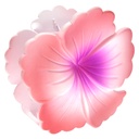 HAIR CLAMP (pink)