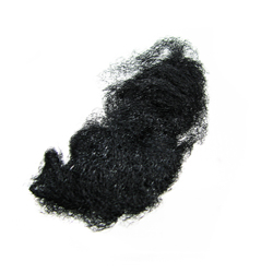 BUN NET   