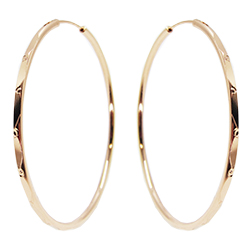 [2100701201596] 18K GOLD PLATED EARRINGS