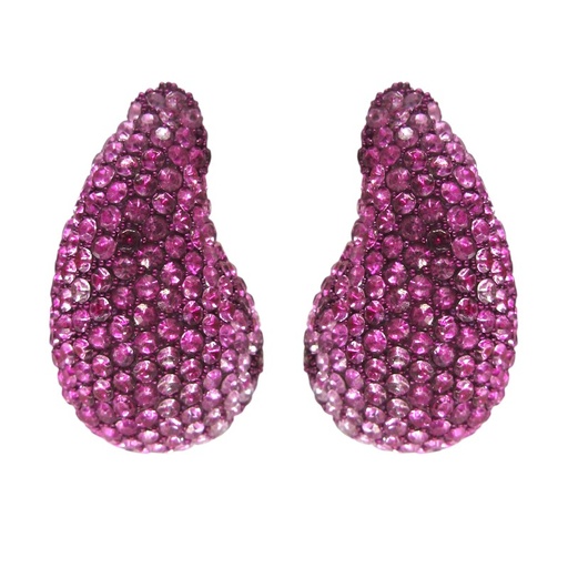 [2100701213278] RHODIUM PLATED EARRINGS