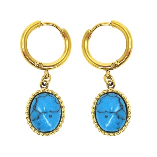 [2100801219149] STAINLESS STEEL EARRINGS