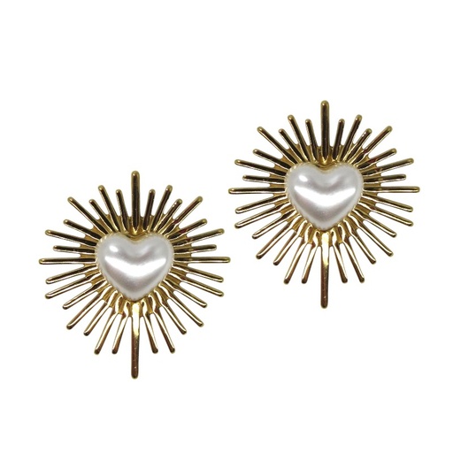 [2100801219460] STAINLESS STEEL EARRINGS
