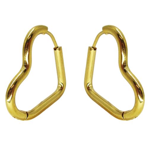 [2100801247333] STAINLESS STEEL EARRINGS