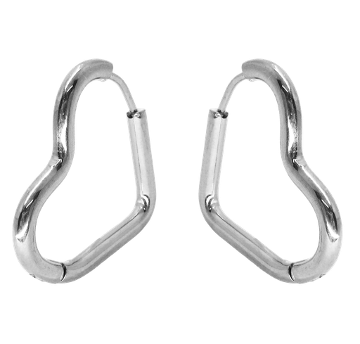 [2100801247340] STAINLESS STEEL EARRINGS