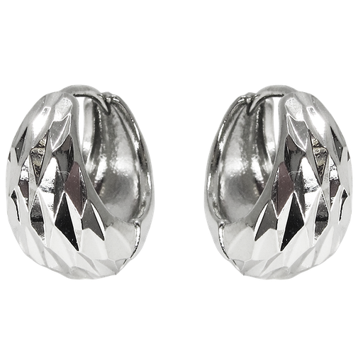 [2100701263457] RHODIUM PLATED EARRINGS