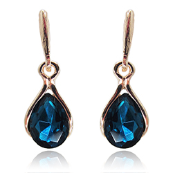 [210070019486] GOLD PLATED EARRINGS