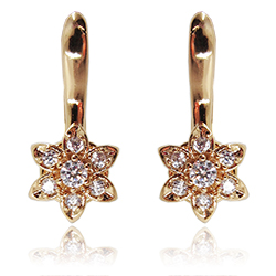 [210070020154] 18K GOLD PLATED EARRINGS     