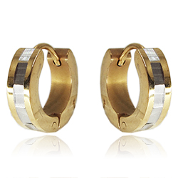 [2100800013656] STAINLESS STEEL EARRINGS